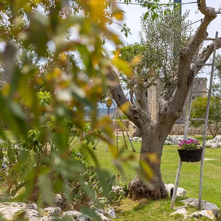 Bed & Breakfast Badia Del Casale 4*